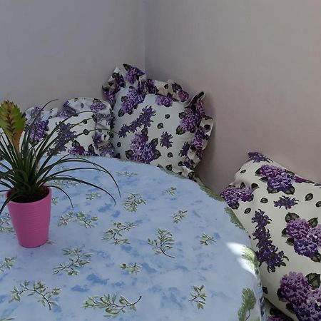 Mini Apartment Petra - Rooms Purple & Green With Kitchen And Garden Dubrovnik Ngoại thất bức ảnh